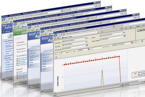 Visual Studio Team System Web Access