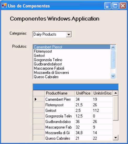 Execução da aplicação Windows Form
